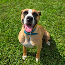 Thumbnail photo of London #2