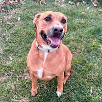 Thumbnail photo of Butterbean #3