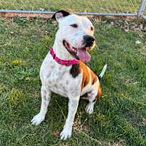 Thumbnail photo of Rory #3