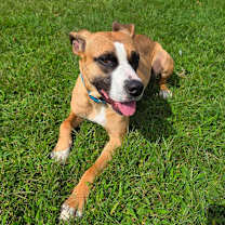 Thumbnail photo of London #3