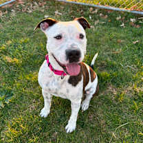 Thumbnail photo of Rory #4