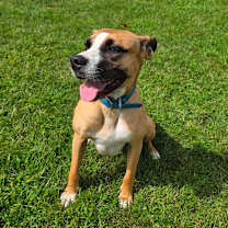 Thumbnail photo of London #4