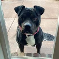 Thumbnail photo of Roxy Courtesy Listing #1