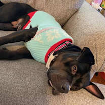 Thumbnail photo of Roxy Courtesy Listing #2