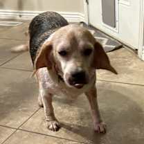 Thumbnail photo of Junior #3