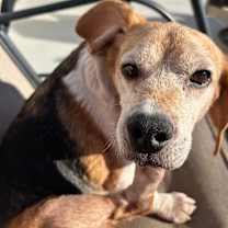 Thumbnail photo of Junior #4