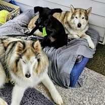 Thumbnail photo of Ned #4