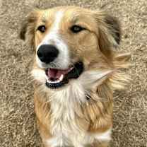 Thumbnail photo of Rey #1