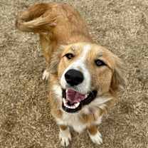 Thumbnail photo of Rey #3