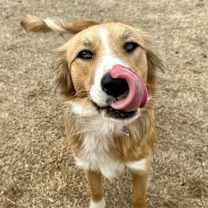 Thumbnail photo of Rey #4