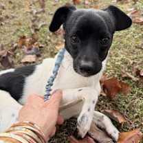 Thumbnail photo of Yang - KA #4