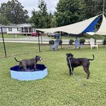 Thumbnail photo of PERCIE ANN #3