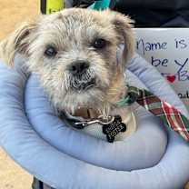 Thumbnail photo of Feast #2