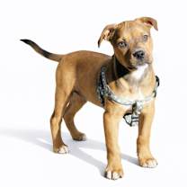 Thumbnail photo of Jingle #3