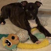 Thumbnail photo of Raymond #1