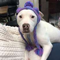 Thumbnail photo of Prada #1