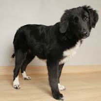 Thumbnail photo of Wyatt D67624 #2