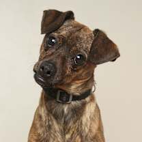 Thumbnail photo of Gretta D67632 #3