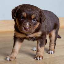 Thumbnail photo of Bueno D67648 #4