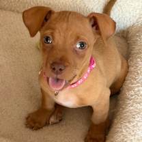 Thumbnail photo of Ivy #1