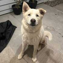 Thumbnail photo of Oso #2