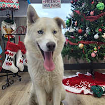 Thumbnail photo of Oso #3