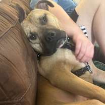 Thumbnail photo of Chester #1