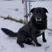 Thumbnail photo of Bear #2