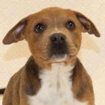 Thumbnail photo of Angel #1