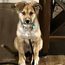 Thumbnail photo of Ronnie #4