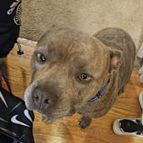 Thumbnail photo of Squidward #2