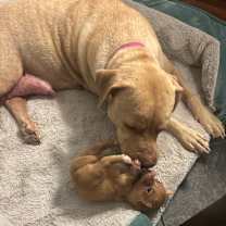 Thumbnail photo of Meadow #2