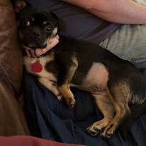 Thumbnail photo of Chug #1