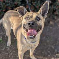 Thumbnail photo of Jay Dee #1