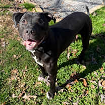 Thumbnail photo of Zeus #2