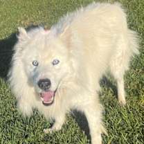 Thumbnail photo of ZEPHER #2