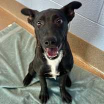 Thumbnail photo of Maiko #2