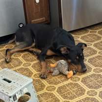 Thumbnail photo of Okla #3