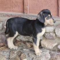 Thumbnail photo of Aisling #3