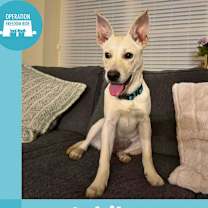 Thumbnail photo of Jubilee #1