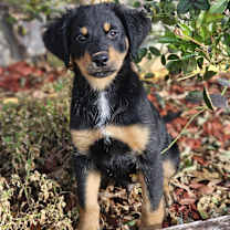 Thumbnail photo of Eirwen #2