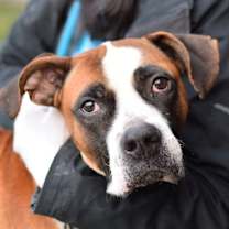 Thumbnail photo of Clyde #2