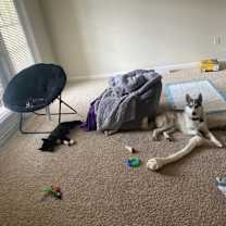 Thumbnail photo of Naruto #4