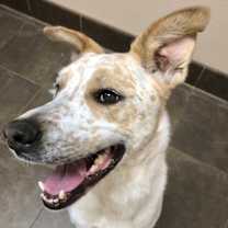 Thumbnail photo of Lucy #3