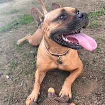 Thumbnail photo of Ivy #4