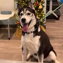 Thumbnail photo of Champagne  #1