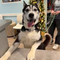 Thumbnail photo of Champagne  #3