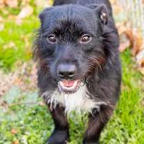 Thumbnail photo of Rodney #4