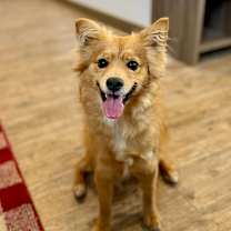 Thumbnail photo of Leo fka Maverick #1