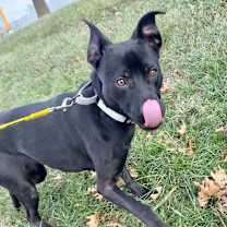 Thumbnail photo of Annabeth K2 #2